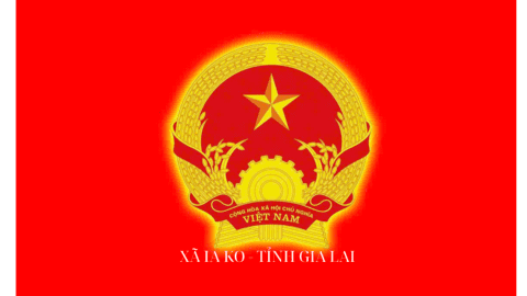 Thư viện ảnh